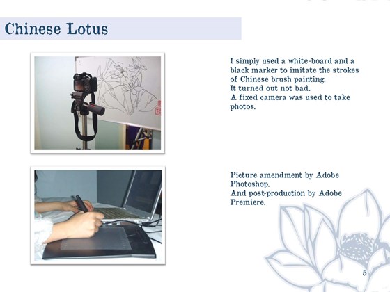 portfolio: portfolio